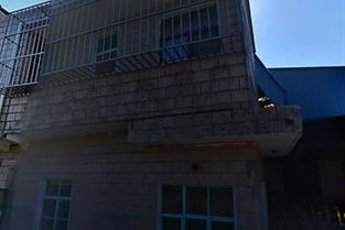 燕诺安 新燕服装厂的匠心传承与品牌创新之路