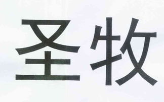 任县晨晨商场经营状况与燕诺安企业关联分析